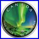 5 $ Dollar Maple Leaf Polar Lights Whitehorse Town Park 1 Oz Silver 2020