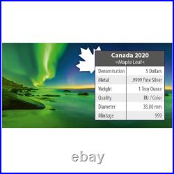 5 $ Dollar Maple Leaf Polar Lights Whitehorse Town Park 1 Oz Silver 2020