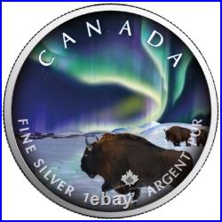 5 $ Dollar Maple Leaf Polar Lights Wood Buffalo Park 1 Oz Silver 2020 5 $ Dollar Maple Leaf Polar Lights Wood Buffalo Park 1 Oz Silver 2020