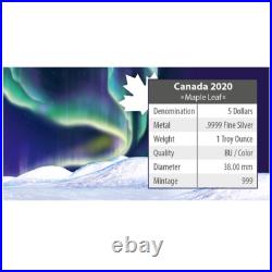5 $ Dollar Maple Leaf Polar Lights Wood Buffalo Park 1 Oz Silver 2020 5 $ Dollar Maple Leaf Polar Lights Wood Buffalo Park 1 Oz Silver 2020