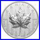 5 oz 2024 Ultra High Relief UHR Maple Leaf Silver Coin Royal Canadian Mint