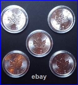 5x 2014 Canadian Maple Leaf 1oz 999.9 Silver Bullion Coins in Premium Capsules