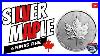 Beautiful Canadian Silver Maple Leaf Coins