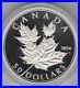 Boxed 2014 Canada Silver Proof Five Ounce $50 Maple Leaves Coin With Cert