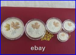 CANADA 2016.9999 FINE SILVER FRACTIONAL 5 COIN MAPLE LEAF SET complete