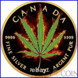 Canada 1 oz SATIVA CANNABIS Burning MARIJUANA $5 Silver Coin MAPLE LEAF 2016
