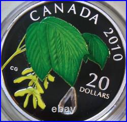 Canada 20 Dollar 2010 Silver 1 OZ Colorized #F5260 Maple Leaf Raindrop Proof