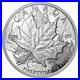 Canada 2013 25th Anniversary of 1 Oz Silver Maple Leaf $20 Silver HR Proof Coin
