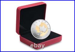 Canada 2013 5oz Silver maple leaf Coin