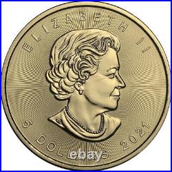 Canada 2021 $5 Maple Leaf-Big Family Orange 1 Oz Silver Coin