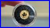 Canada 2027 1 Iconic Maple Leaf 0 5 Gram Small Pure Gold Coin