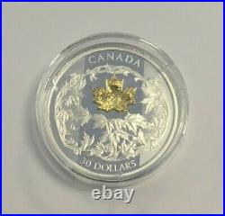 Canada 2oz Silver Coin with Gold Maple Leaf Tarnished Coin PGA