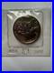Canada Elizabeth II 5 Dollars 1989 Silver Maple Leaf 1 Oz Silver Coin SEALED