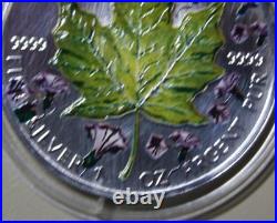 Canada Maple 5 Dollars 2001 Silver 1 oz F#5745 Four Seasons Spring Spring