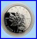 Canada Maple Leaf 2000 $5 1oz Silver 9999 Fireworks Privy Ed. 403,652 Capsule