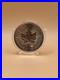 Canadian Maple Leaf 2014 1oz Silver Bullion Coin