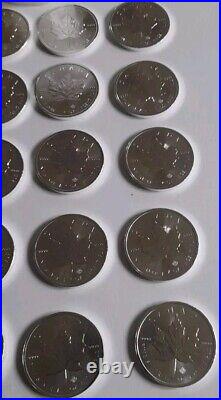 Canadian Maple Leaf 2020 1oz 9999 Silver Bullion Coins Full Tube Lot4