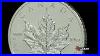 Canadian Silver Maple Leaf Coin Texas Precious Metals