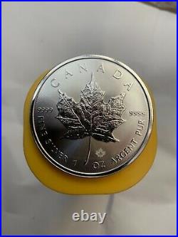 Full Tube of 25x 1oz Silver 2021 Canadian Maple Leaf