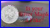 How To Know If Your Canadian Silver Maple Leaf Coins Are Fake Counterfeit