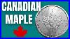 Is This The Best Silver Coin Canadian Maple Leaf 1oz Silver 2023