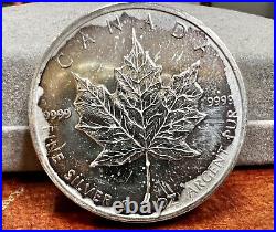 Lot of (7) 1 Oz. 9999 Fine Silver Argent Pur Canada Maple Leaf Collectible Coins