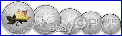 MAPLE LEAF Set 5x Silver Coin Canada 2027