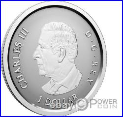 MAPLE LEAF Set 5x Silver Coin Canada 2027
