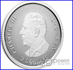 MAPLE LEAF Set 5x Silver Coin Canada 2027