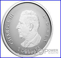 MAPLE LEAF Set 5x Silver Coin Canada 2027 MAPLE LEAF Set 5x Silver Coin Canada 2027
