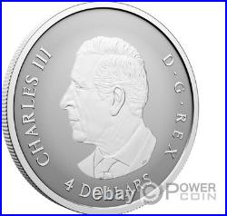 MAPLE LEAF Set 5x Silver Coin Canada 2027