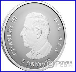 MAPLE LEAF Set 5x Silver Coin Canada 2027