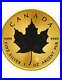 MAPLE LEAF Space Gold Edition 1 Oz Silver Coin 5$ Canada 2024