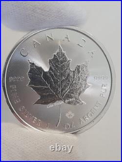Maple Leaf 1oz Pure 9999 Silver Bullion Coin 2026 Canada One Troy Ounce