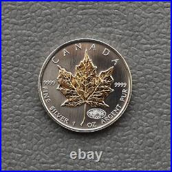 Maple Leaf Maple Leaf Privy Fireworks 2000 Canada Silver Silver Gilded 24kt Gold