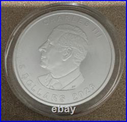 Maple leaf 2026 1 oz silver coin