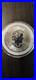 Maple leaf silver coins 1 oz