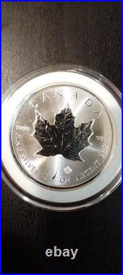 Maple leaf silver coins 1 oz