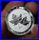 ONE 2020 Canadian Maple Leaf Elizabeth II 2oz 9999 FINE Silver $10 coin C607