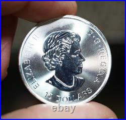 ONE 2020 Canadian Maple Leaf Elizabeth II 2oz 9999 FINE Silver $10 coin C607