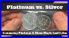 Platinum Vs Silver Comparing 1 Oz Platinum U0026 1 Oz Silver Maple Leaf Coins