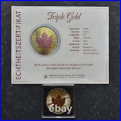 RARE 2023 Maple Leaf Triple Gold Silver Silver gilded 24kt Canada Canada ZERT