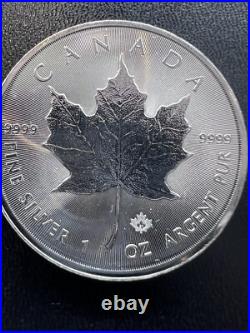 Random date 1oz SILVER Maple Leaf. 9999 PURE GORGEOUS! While They Last