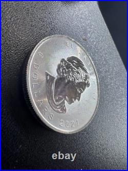 Random date 1oz SILVER Maple Leaf. 9999 PURE GORGEOUS! While They Last