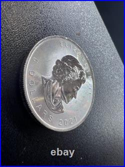 Random date 1oz SILVER Maple Leaf. 9999 PURE GORGEOUS! While They Last