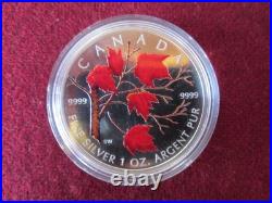 Rare 2004 Canadian Maple Leaf $5 Pure Silver Coin, Colourized Winter WC COA