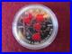 Rare 2004 Canadian Maple Leaf $5 Pure Silver Coin, Colourized Winter WC COA