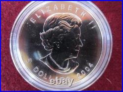 Rare 2004 Canadian Maple Leaf $5 Pure Silver Coin, Colourized Winter WC COA