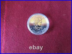 Rare 2004 Canadian Maple Leaf $5 Pure Silver Coin, Colourized Winter WC COA