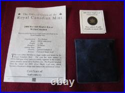 Rare 2004 Canadian Maple Leaf $5 Pure Silver Coin, Colourized Winter WC COA